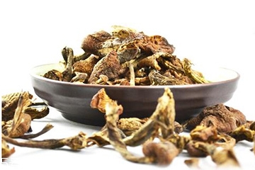 榛蘑能和土豆一起吃嗎？榛蘑和土豆一起吃的功效