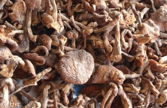 榛蘑和木耳的區(qū)別 榛蘑和木耳能一起吃嗎？