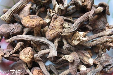 榛蘑和木耳的區(qū)別 榛蘑和木耳能一起吃嗎？