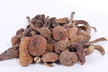 榛蘑的宜忌人群 哪些人適合吃榛蘑？