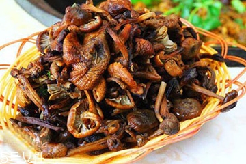 榛蘑是什么？榛蘑是干嘛的