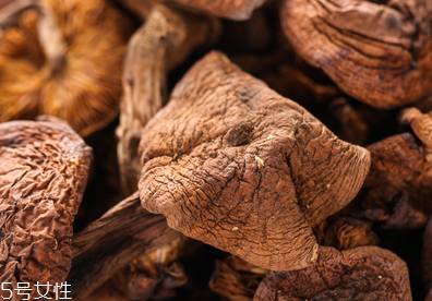 榛蘑多久能成熟？榛蘑的成熟期