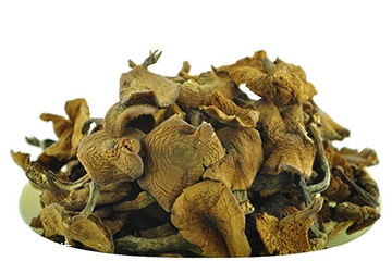 榛蘑怎么泡發(fā)？榛蘑怎么清洗？