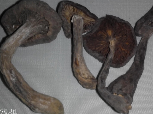 榛蘑怎么泡發(fā)？榛蘑怎么清洗？