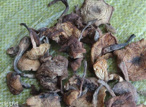 榛蘑能保存多久？干榛蘑怎么保存最好？