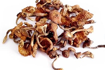 榛蘑可以帶到國(guó)外嗎？榛蘑可以帶上動(dòng)車嗎？