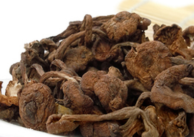 榛蘑可以煲鴨肉嗎？榛蘑可以煲鴨肉