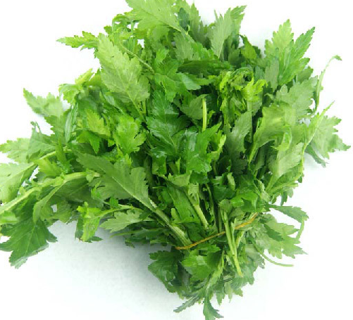 菊花腦的功效和營養(yǎng) 菊花腦的副作用 菊花腦的功效和營養(yǎng) 菊花腦的副作用