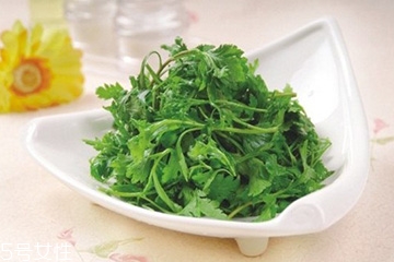 菊花腦可以給小孩吃嗎？小孩能吃菊花腦嗎？