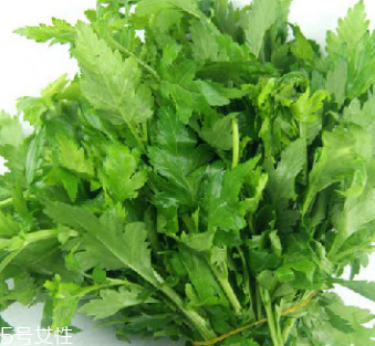 菊花腦是苦的嗎？菊花腦苦不苦？