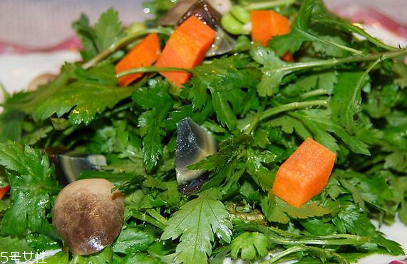 菊花腦怎么挑選？菊花腦選購技法