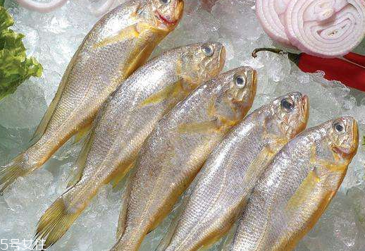 黃花魚(yú)是發(fā)物嗎？黃花魚(yú)是涼性的嗎？