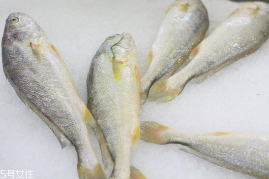 黃花魚清蒸多長(zhǎng)時(shí)間？黃花魚清蒸的做法