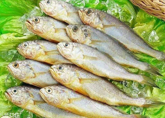 黃花魚去鱗嗎？黃花魚去內(nèi)臟嗎？