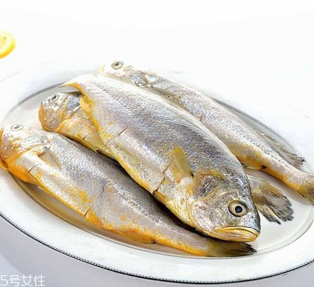 黃花魚為什么都是死的？死黃花魚可以吃嗎？