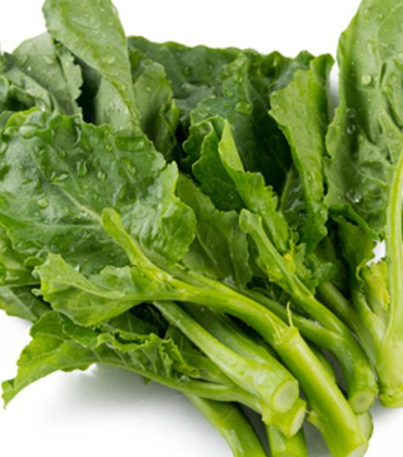 芥蘭的種植 芥蘭怎么種？