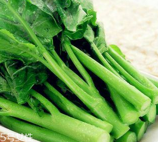 芥蘭是芥菜嗎？芥蘭和芥菜的區(qū)別