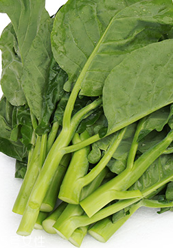 芥蘭的熱量 芥蘭能減肥嗎？