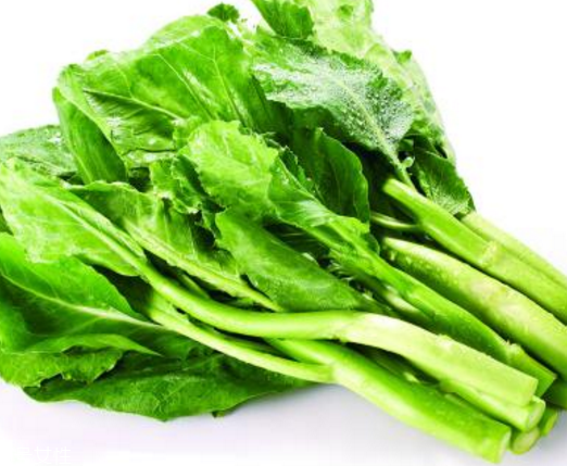 芥蘭是中藥還是蔬菜？芥蘭是蔬菜嗎？