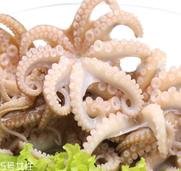 章魚是什么顏色？章魚是什么樣子？