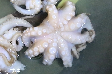 章魚會噴墨汁嗎？章魚的墨汁能吃嗎？