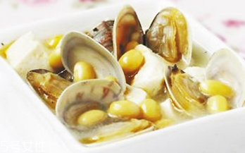 文蛤是不是花甲？文蛤和花甲是同一種嗎？