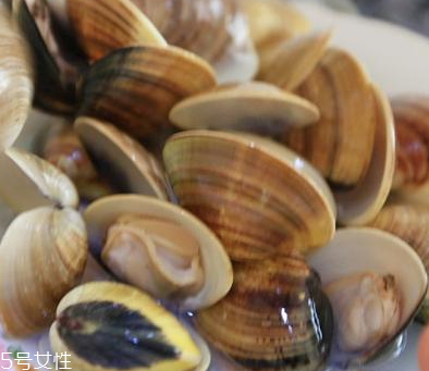 文蛤是海鮮還是河鮮？文蛤是海鮮嗎？