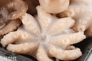 章魚可以炸嗎？章魚能油炸嗎？