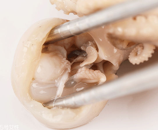 章魚可以炸嗎？章魚能油炸嗎？