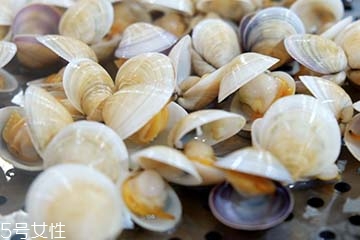 文蛤是淡水還是海水？文蛤是淡水水產(chǎn)嗎？