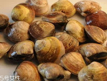 文蛤是冷水煮還是熱水？文蛤是用熱水嗎？