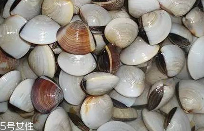 文蛤和花蛤的區(qū)別 文蛤和花蛤是同一種嗎？
