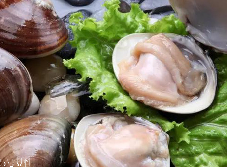文蛤和花蛤的區(qū)別 文蛤和花蛤是同一種嗎？