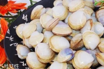 文蛤能放在冰箱里嗎?文蛤怎么保存？