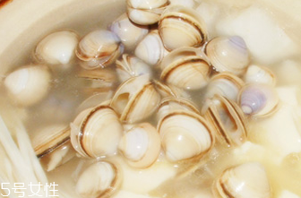 文蛤的食用禁忌 乳房囊腫能吃文蛤嗎？