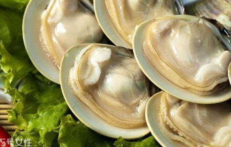 文蛤的養(yǎng)殖 文蛤怎么養(yǎng)？