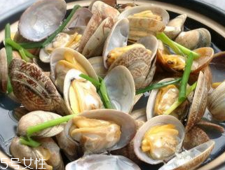 文蛤的養(yǎng)殖 文蛤怎么養(yǎng)？