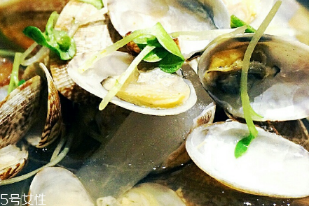 文蛤的選購(gòu)技法 文蛤怎么挑選？