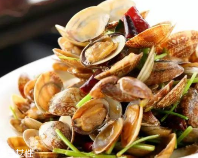 文蛤是堿性的嗎？文蛤是酸性的嗎？