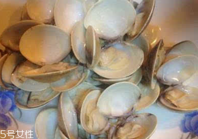 文蛤是寒性還是熱性？文蛤是寒性的嗎？
