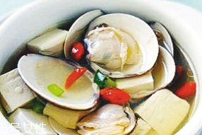 文蛤是寒性還是熱性？文蛤是寒性的嗎？