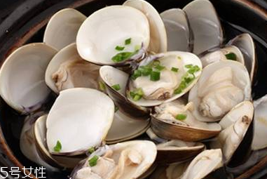 文蛤和蛤蜊是一樣的嗎？