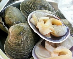 文蛤的熱量 文蛤吃了會長胖嗎？