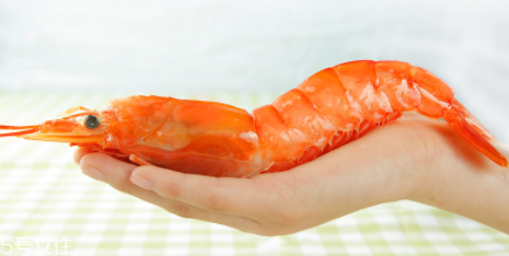 阿根廷紅蝦是海蝦嗎？阿根廷紅蝦是海里的嗎？