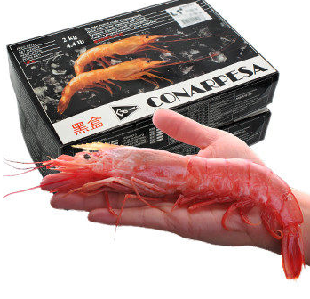 阿根廷紅蝦能白灼嗎？白灼阿根廷紅蝦好吃嗎？