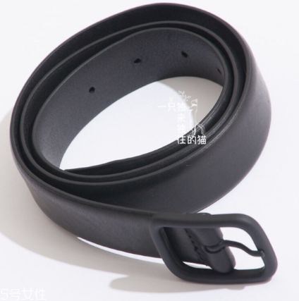 皮帶上的環(huán)叫什么名字？皮帶上的環(huán)在哪買？