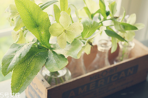 西女一個西女你的嘴巴和手很白是什么意思? 西女一個西女你的嘴巴和手很白是什么意思?