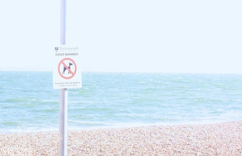 西女一個西女你的嘴巴和手很白是什么意思? 西女一個西女你的嘴巴和手很白是什么意思?