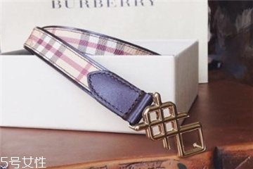 皮帶105適合多大腰圍？皮帶105cm腰圍尺寸