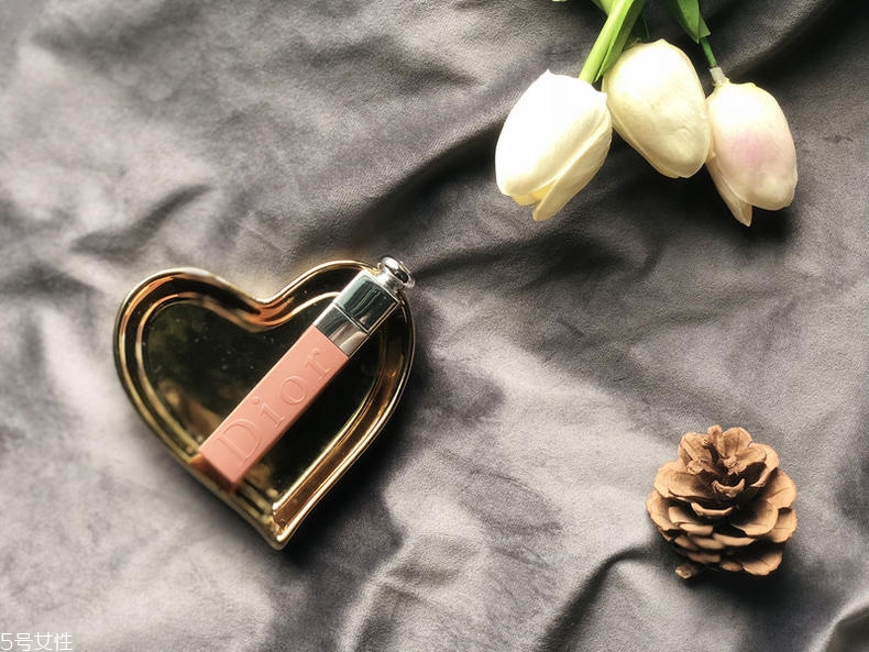 迪奧超模唇釉421是什么色 迪奧超模唇釉熱賣色評測 迪奧超模唇釉421是什么色 迪奧超模唇釉熱賣色評測